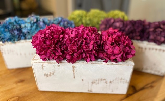 Blooming hydrangea in Sugar mold 5, 7, and 12 Hole